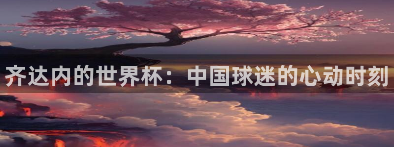 世界杯对阵图2026：齐达内的世界杯：中国球迷的心动时刻