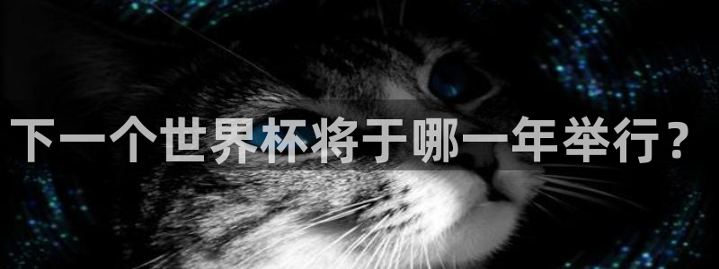 世界杯2026赛程表:下一个世界杯将于哪一年举行?