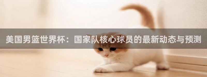 世界杯预赛赛程：美国男篮世界杯：国家队核心球员的最新动态与预测