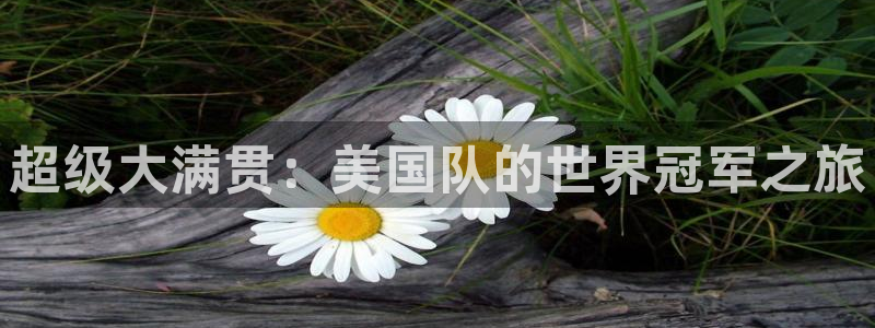 世界杯视频：超级大满贯：美国队的世界冠军之旅