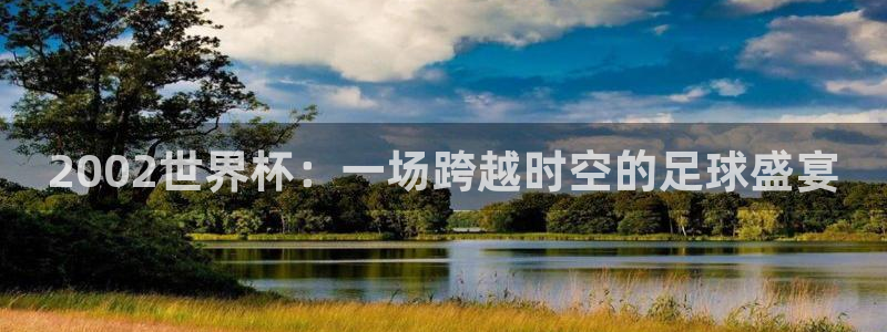 2026年世界杯直播平台：2002世界杯：一场跨越时空的足球盛宴