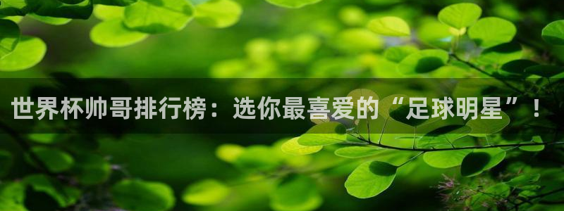 世俱杯直播:世界杯帅哥排行榜:选你最喜爱的“足球明星”!