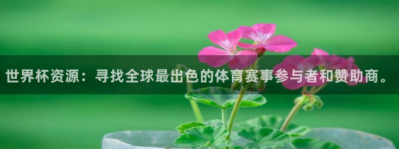 2026世界杯直播免费观看：世界杯资源：寻找全球最出色的体育赛事参与者和赞助商。