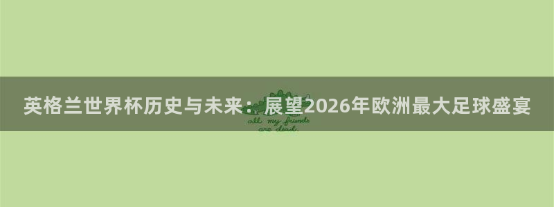 世界杯球赛：英格兰世界杯历史与未来：展望2026年欧洲最大足球盛宴