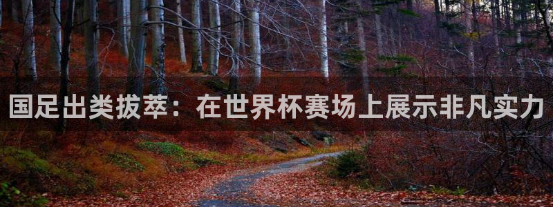 预选赛世界杯：国足出类拔萃：在世界杯赛场上展示非凡实力
