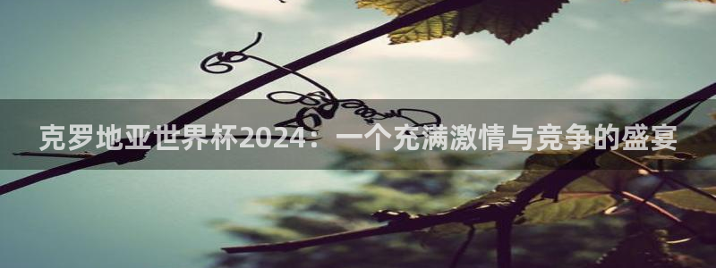 2026年世界杯赛程表时间：克罗地亚世界杯2024：一个充满激情与竞争的盛宴