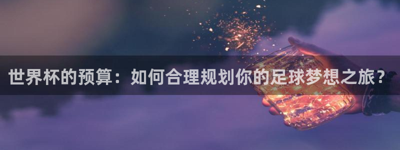 世界杯预选赛：世界杯的预算：如何合理规划你的足球梦想之旅？
