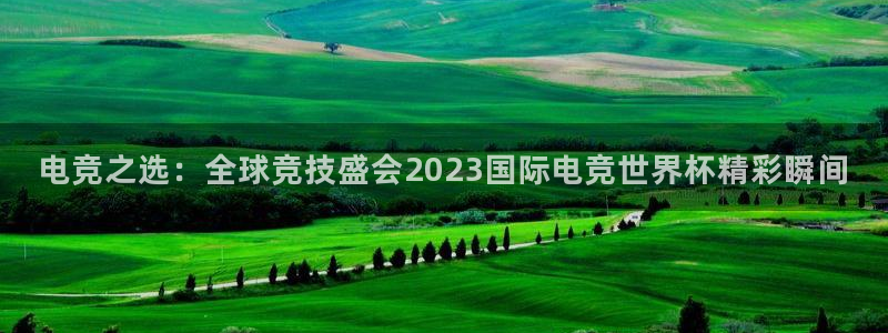 2026年世界杯对阵图：电竞之选：全球竞技盛会2023国际电竞世界杯精彩瞬间