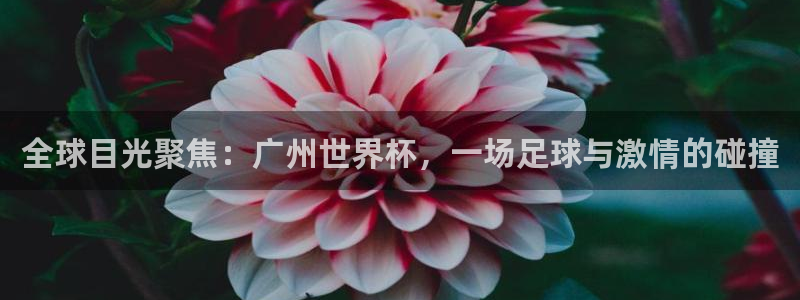 世界杯2026赛制：全球目光聚焦：广州世界杯，一场足球与激情的碰撞