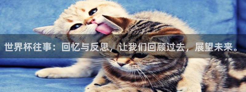 世界杯赛程2026：世界杯往事：回忆与反思，让我们回顾过去，展望未来。